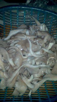 美味的平菇肉片汤做法图解5)