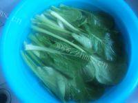家常菜清炒油菜心做法图解1)