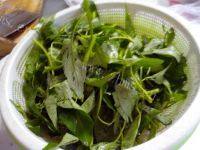 家常菜蒜末空心菜做法图解2)