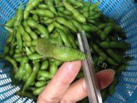 口感饱满的香辣毛豆做法图解2)