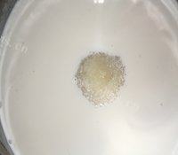 妈妈教我做紫薯蛋挞做法图解4)