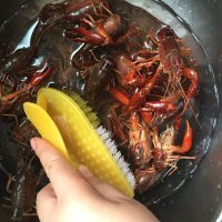 美味的麻辣小龙虾做法图解2)