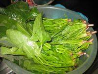 易做的炒菠菜做法图解1)