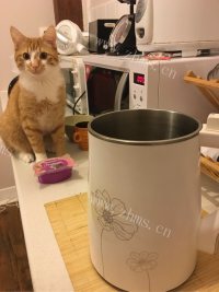 自制素肉松做法图解3)