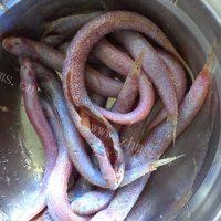 香飘十里的炸小鱼做法图解2)
