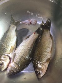 美味鲫鱼山药汤做法图解1)