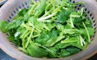 自制清炒菠菜做法图解1)