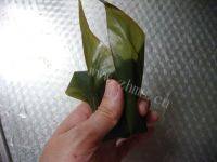 特色美食-红豆粽子做法图解6)
