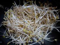 家常菜醋溜绿豆芽做法图解4)