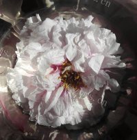 家常牡丹花炒鸡蛋做法图解1)