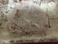 可口的日式炸猪排做法图解4)