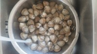 美味的辣炒蛤蜊做法图解2)