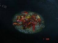 美味的酸辣藕做法图解4)