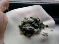 自制猪肉荠菜馄饨做法图解5)