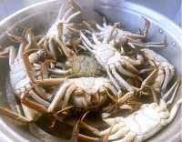 营养丰富的清蒸河蟹做法图解2)