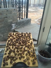 好吃的琥珀黑糖核桃做法图解7)