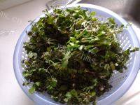 家常菜凉拌荠菜做法图解1)