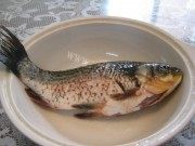 美味的鲫鱼炖蛋做法图解1)