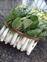 营养的蒜香小白菜做法图解1)