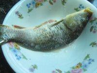 健康美食之红烧鲤鱼做法图解3)