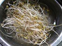 家常菜黄豆芽炒肉丝做法图解1)