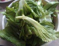自制清炒芥菜做法图解1)