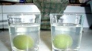自制清水梅子冻