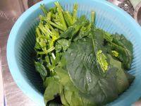 极致的素炒菠菜做法图解1)