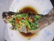 美味的清蒸黑头鱼