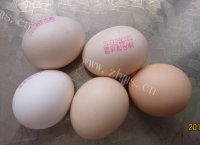 常吃不腻的电饭锅蛋糕做法图解2)