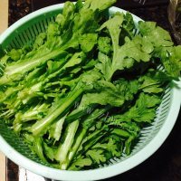 家常菜蒜香茼蒿做法图解1)