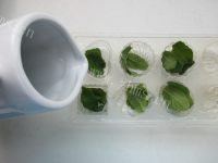 美味的柠香苦瓜做法图解2)