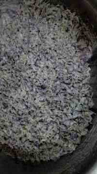 美味的蒸菜紫藤花蒸菜做法图解2)