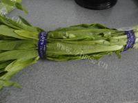 自己做的豆豉油麦菜做法图解1)