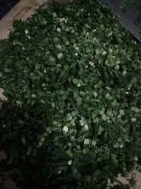 自己做的韭菜鸡蛋饺子做法图解4)