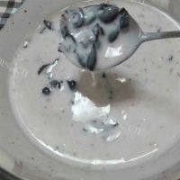 美味的蓝莓酸奶雪糕的做法图解三