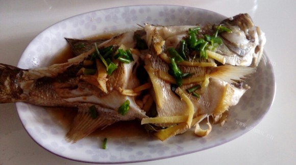 色味俱佳的清蒸鲈鱼