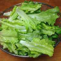 家常菜蒜蓉蚝油生菜做法图解1)