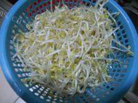 清炒豆芽做法图解1)