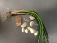 美味佳肴般的葱油白切鸡做法图解1)