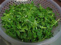 家常菜蒜香西洋菜做法图解1)