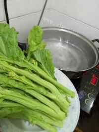 秘制肉末炒辣菜做法图解2)