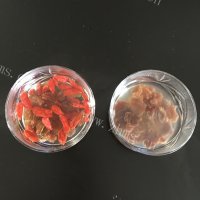 美味的菠萝八宝饭做法图解4)