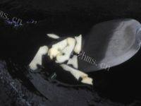 香芋红烧肉做法图解4)