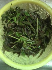 好吃的香椿炒蛋做法图解1)