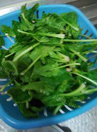 家常菜蒜蓉菠菜做法图解1)
