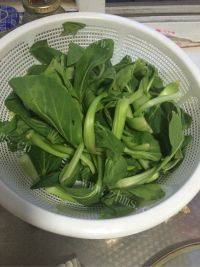 好吃的清炒小白菜做法图解1)