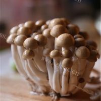 营养的蘑菇煎蛋做法图解1)