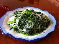 甘脆的菠菜拌粉丝做法图解8)