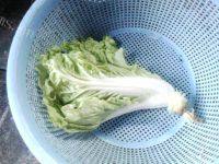 清淡的白菜炒肉丝做法图解1)